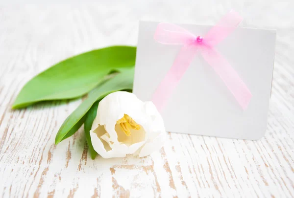 Greeting card — Stock Photo, Image