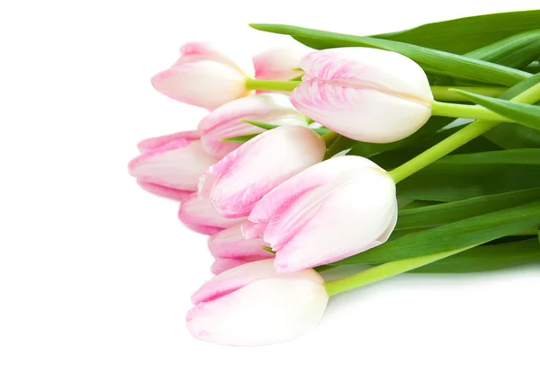 Růžové tulipány a velikonoční vajíčko — Stock fotografie