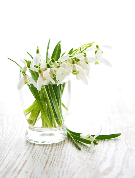 Bouquet of snowdrop flowers — Stock Photo, Image