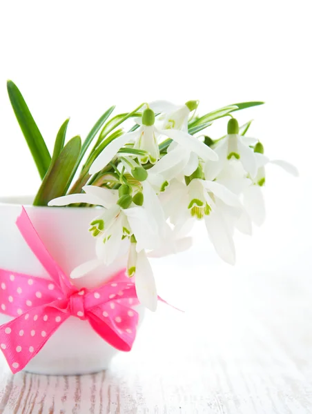 Boeket van snowdrop bloemen — Stockfoto