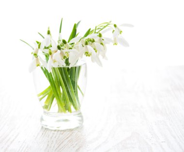 kardelen çiçek buketi