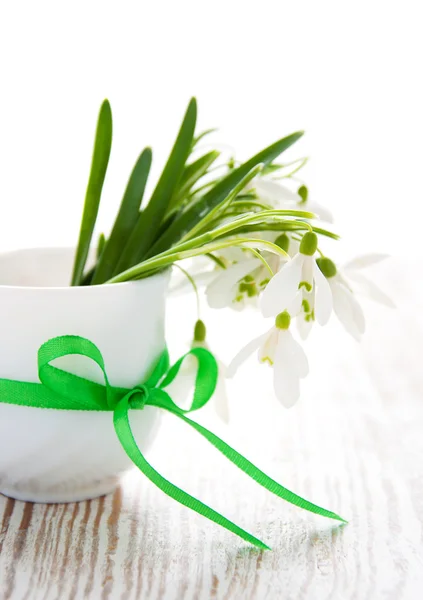 Boeket van snowdrop bloemen — Stockfoto