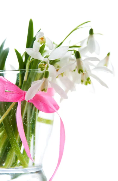 Schneeglöckchen im Frühling — Stockfoto