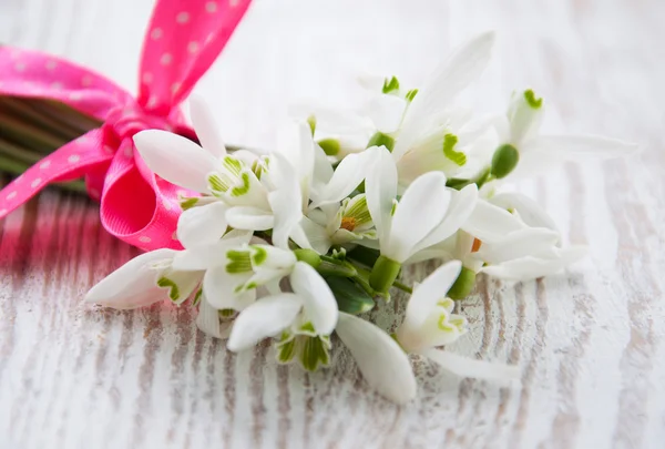 Bunch of snowdrop flowers — Stock Photo, Image