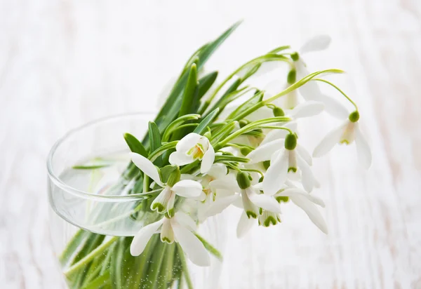スノー ドロップの花の花束 — ストック写真