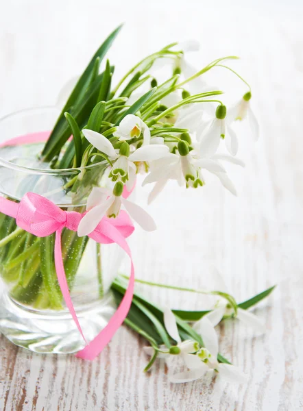 Strauß Schneeglöckchen — Stockfoto