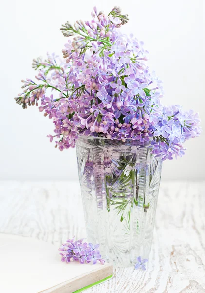 Bouquet of a lilac — Stock Photo, Image