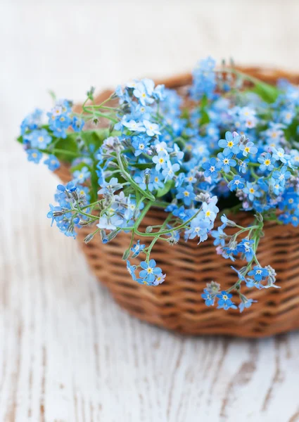 Bunch of forget-me-nots flowers — Stock Photo, Image
