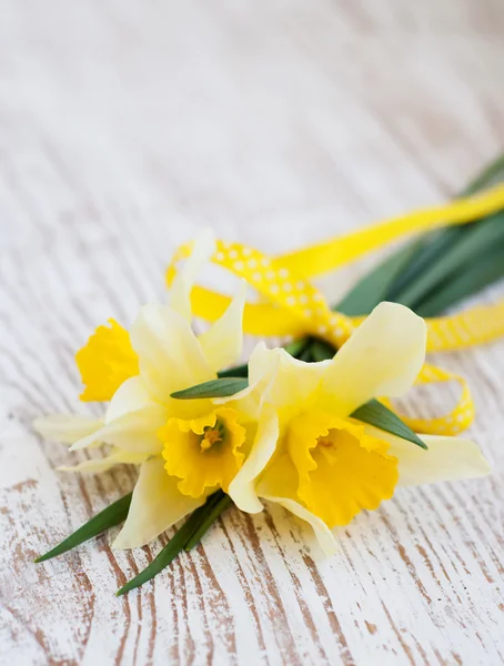 Daffodilos — Fotografia de Stock