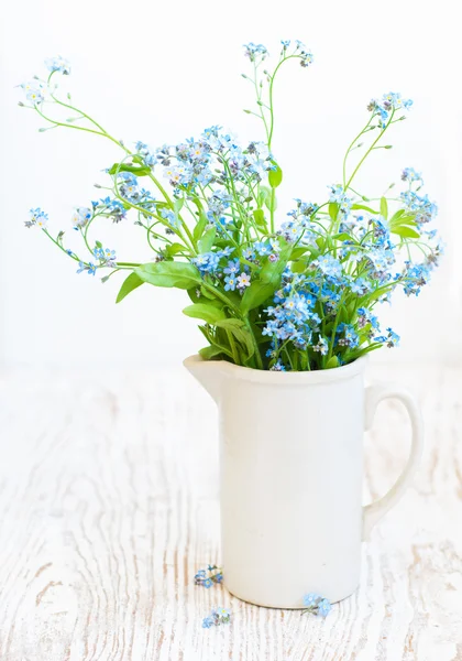 Un montón de flores que no me olvidan. —  Fotos de Stock