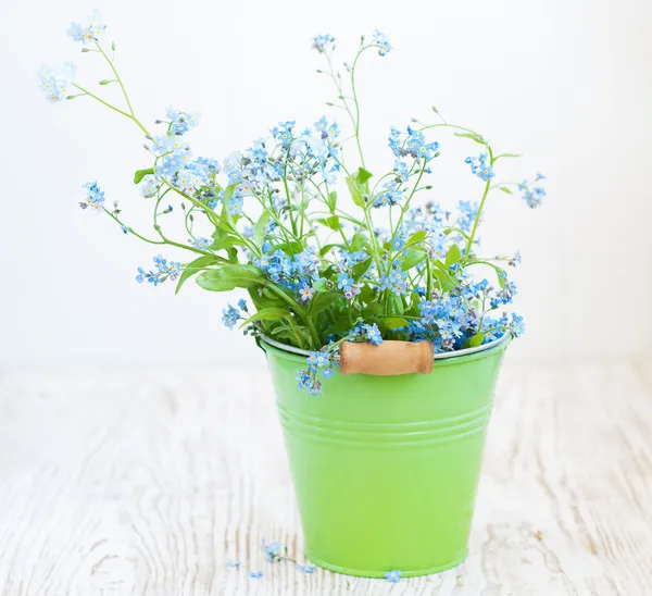 En haug med glemmeblomster. – stockfoto