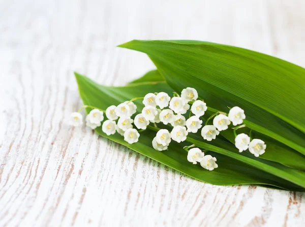 Strauß Maiglöckchen — Stockfoto