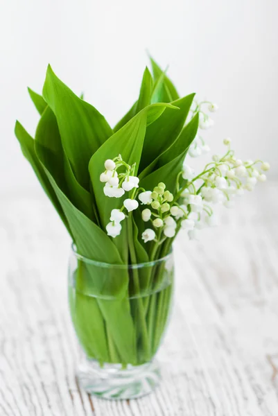 Bouquet lilies of the valley — Stock Photo, Image