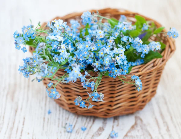 Bunch of forget-me-nots flowers — Stock Photo, Image