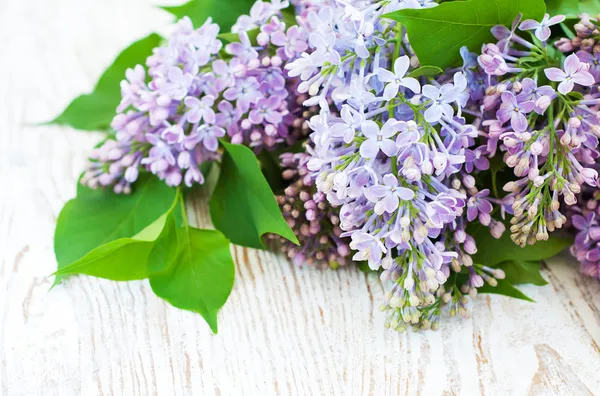 Bouquet di un lilla — Foto Stock