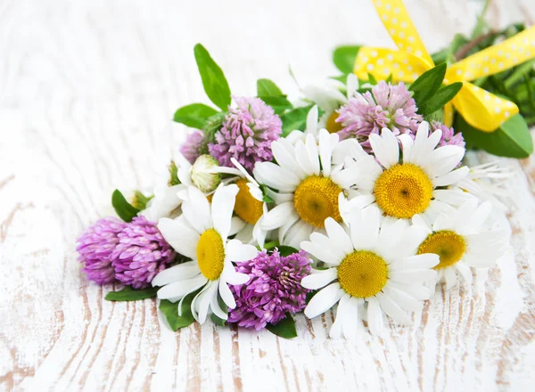 Fiori selvatici Margherite e Trifoglio — Foto Stock