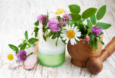 yabani çiçekler ve bitkiler