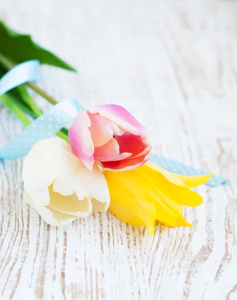 Tulpen boeket — Stockfoto