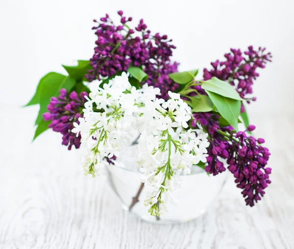 Bouquet di un lilla — Foto Stock