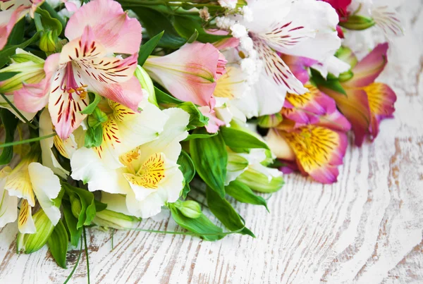 Strauß von Alstroemeria-Blumen — Stockfoto