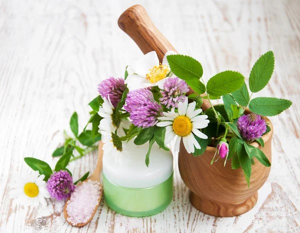 Wildblumen und Kräuter — Stockfoto