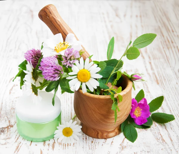 Wild flowers and herbs — Stock Photo, Image