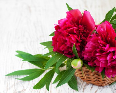 Güzel bir buket pembe şakayık