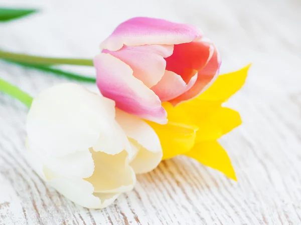 Tulpenstrauß — Stockfoto