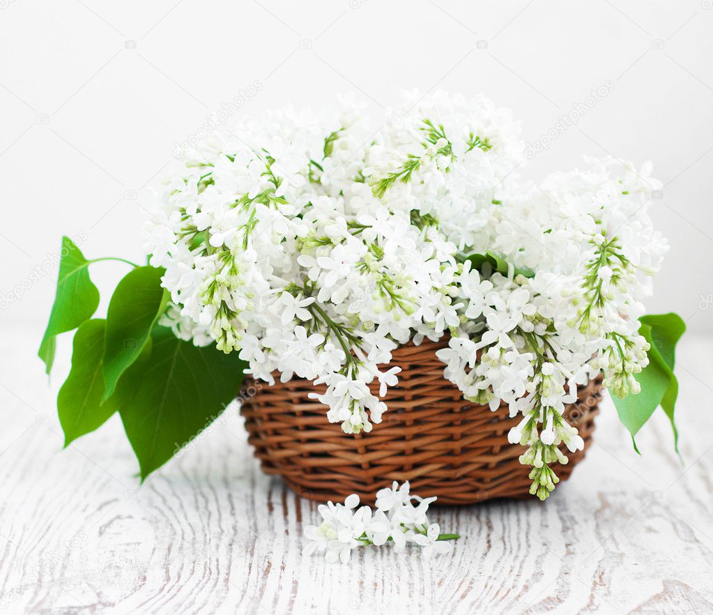 Bouquet of a white lilac