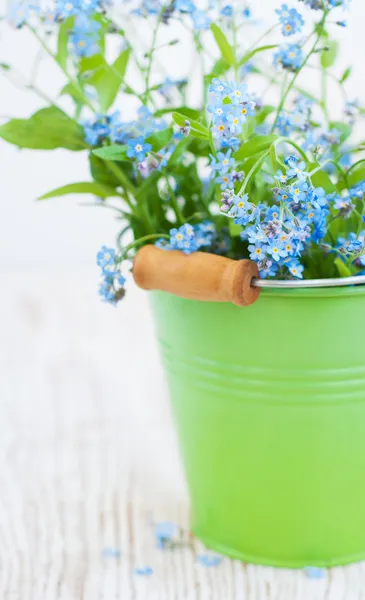 Un montón de flores que no me olvidan. —  Fotos de Stock