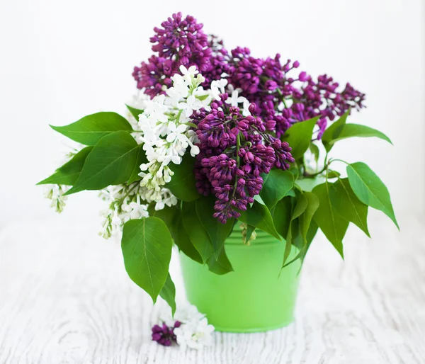 Bouquet d'un lilas — Photo