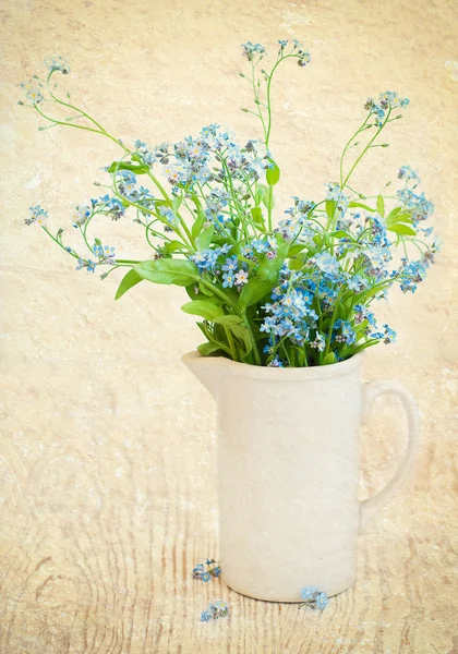 Bos van forget-me-nots bloemen — Stockfoto