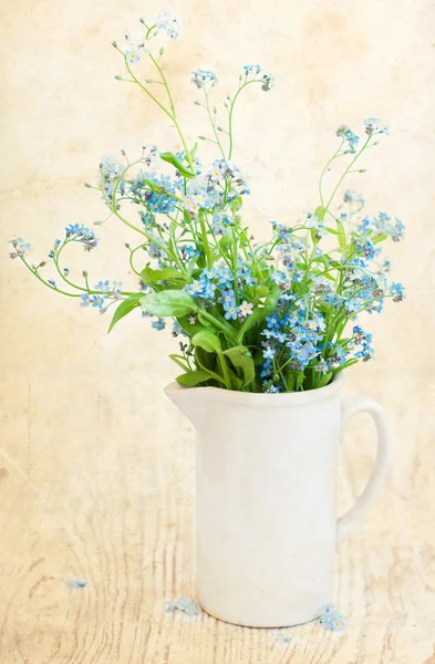 Un montón de flores que no me olvidan. —  Fotos de Stock