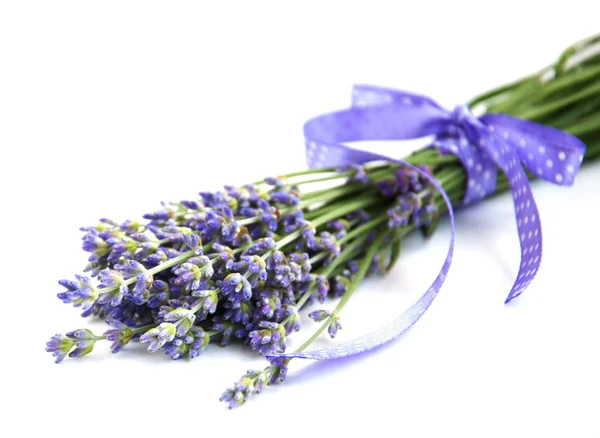 Lavendel — Stockfoto