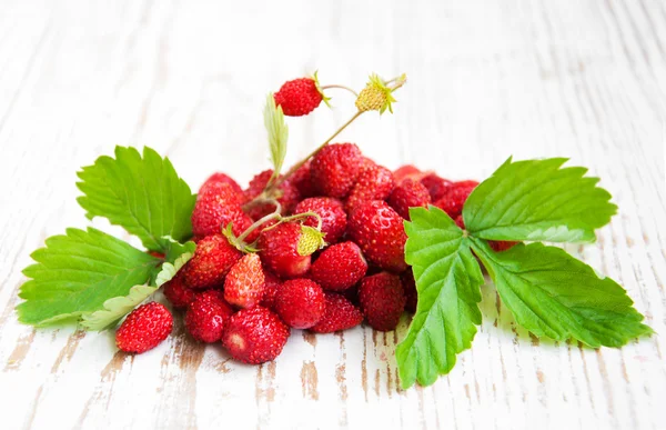 Wild strawberries — Stock Photo, Image