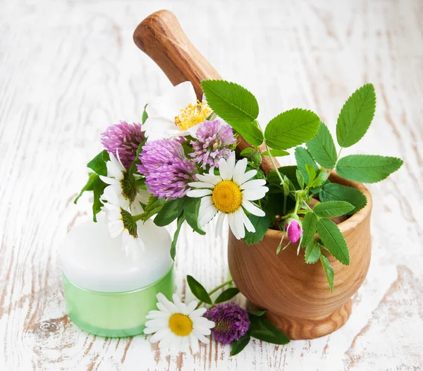 Wild flowers and herbs — Stock Photo, Image