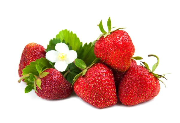 Fresh strawberries — Stock Photo, Image