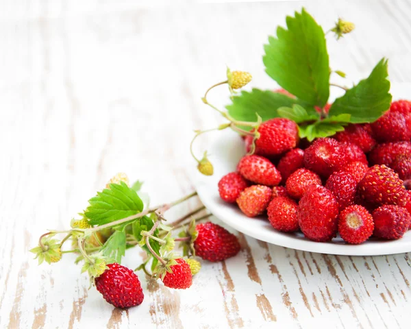 Fraise sauvage dans une assiette — Photo