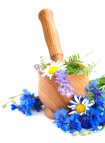 Mortar and pestle with cornflowers — Stock Photo, Image