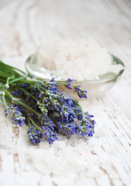 Lavender salt, and fresh flower — Stock Photo, Image