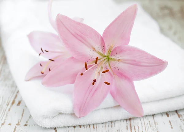 Spa ręcznik z kwiatkiem — Zdjęcie stockowe
