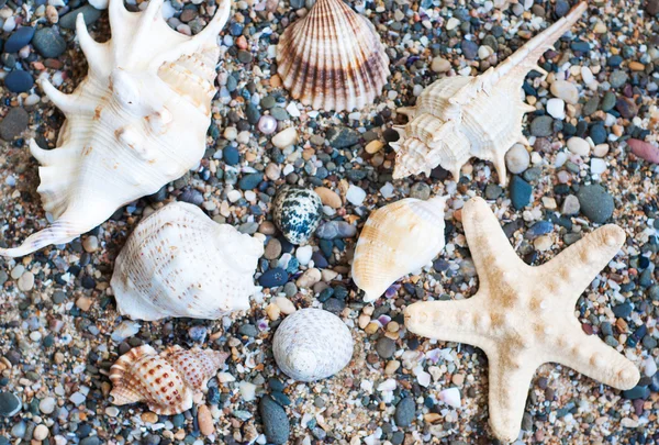 Strandsteine — Stockfoto