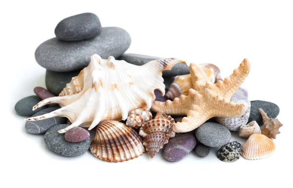 Deniz taşları ve bej cockleshell küçük yığını — Stok fotoğraf