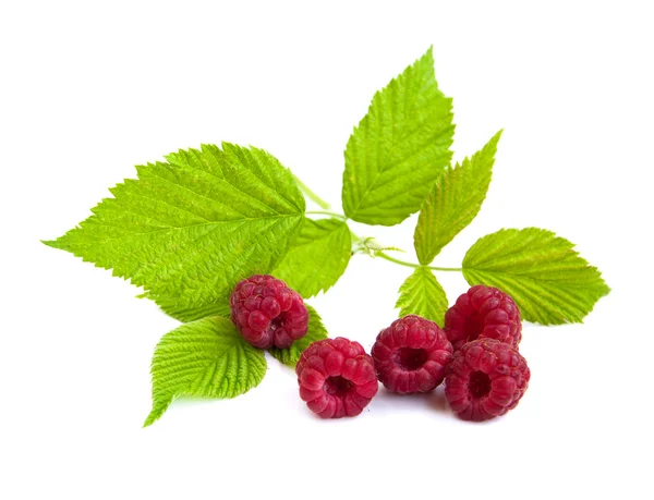 Fresh raspberries — Stock Photo, Image