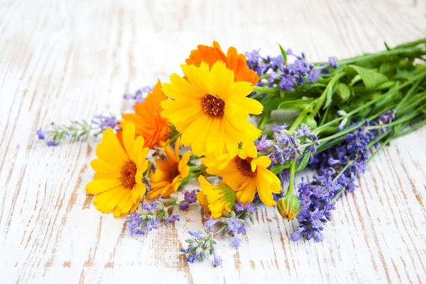 Bouquet of flowers — Stock Photo, Image