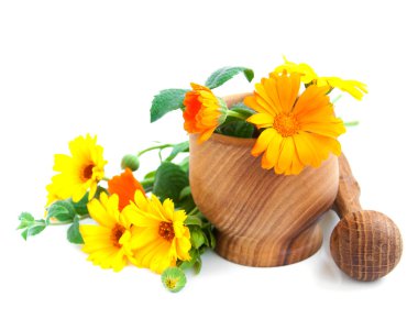 Calendula çiçekler ve harç