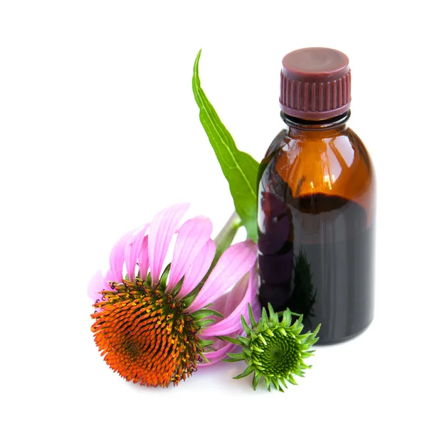Herbal medicine — Stock Photo, Image