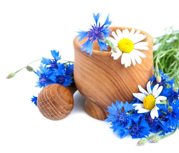 Mortar and pestle with cornflowers Royalty Free Stock Images