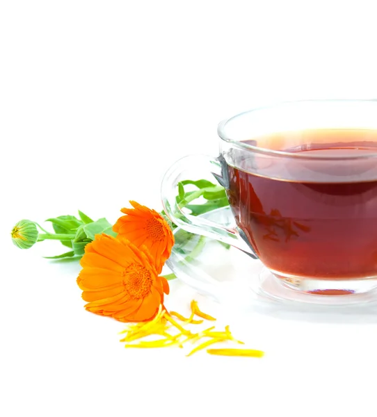 Tea with calendula — Stock Photo, Image