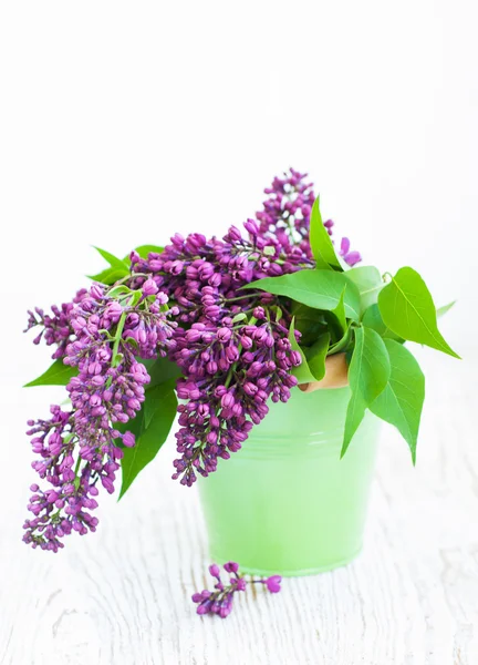 Bouquet of a lilac — Stock Photo, Image